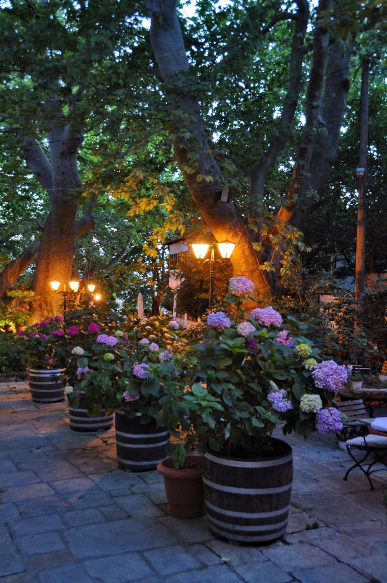 Pelias Hotel بورتاريا المظهر الخارجي الصورة